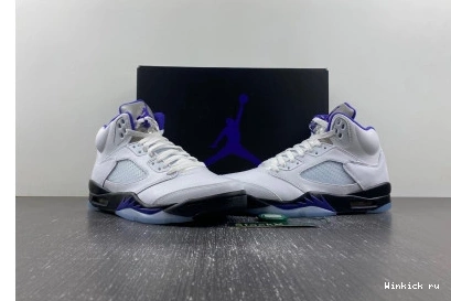 Retro Dark 5 Concord Jordan 0802